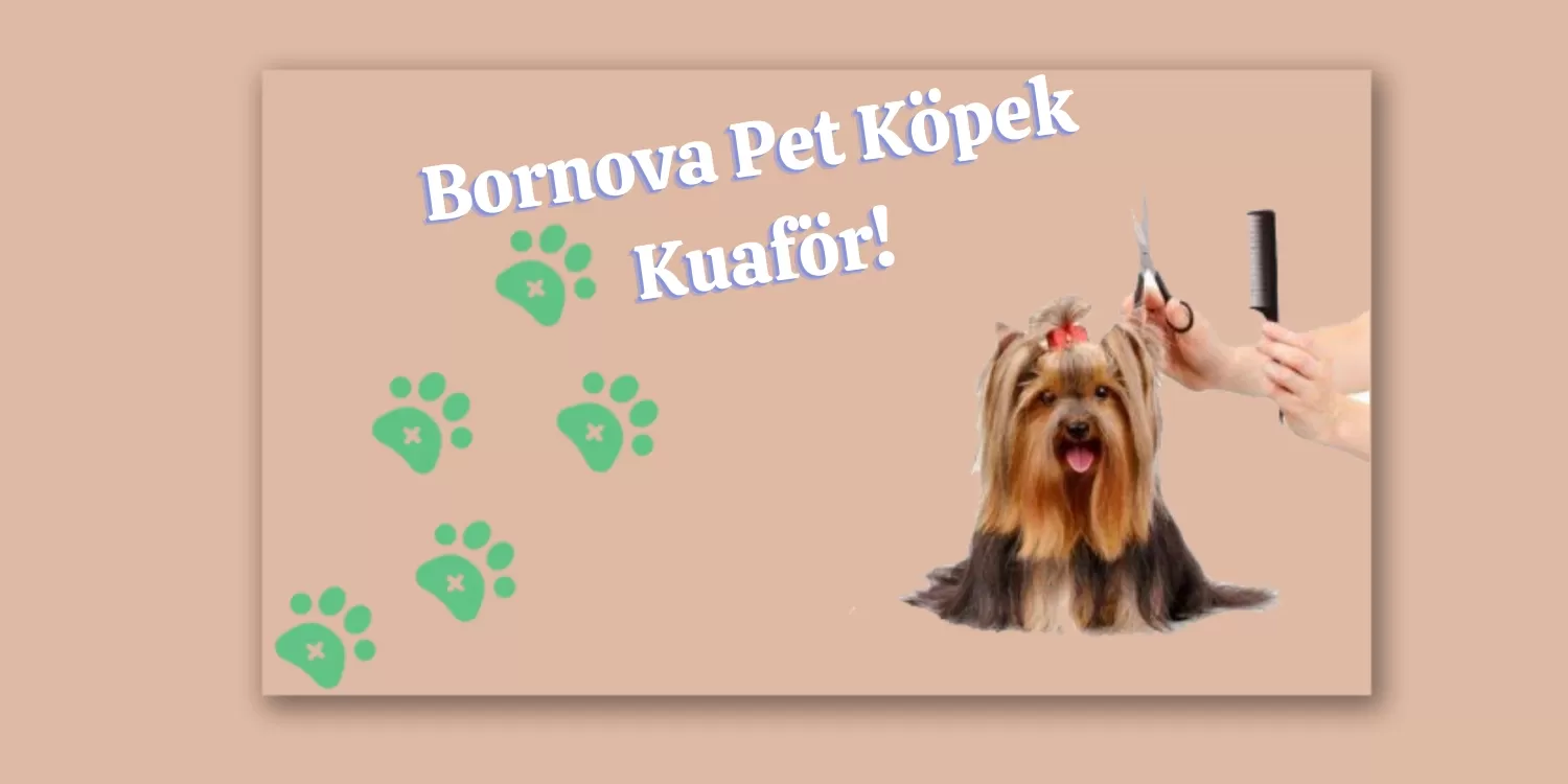 Köpeğinizi Yıkamak - Bornova Pet Köpek Kuaför - Köpek Bakım İpuçları